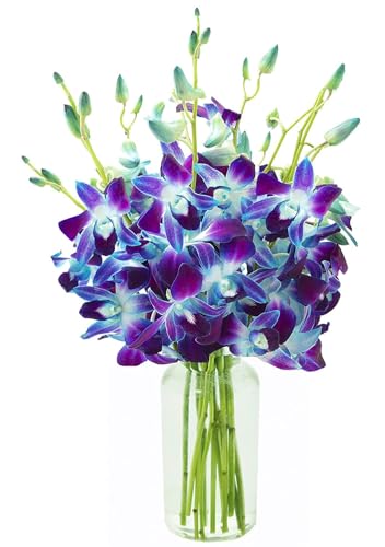 KaBloom-10 Blue Orchid Bouquet,Flowers for Valentine, Mother's Day - color: Ocean Blue, size: 10 count, style: With Vase