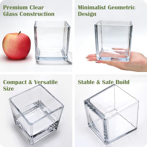 6 Pack Square Glass Vase 4" x 4" x 4", Clear Cube Vases for Centerpieces, Thickened Glass Flower Vases, Plant Terrarium, Floating Candle Holder for Wedding Party, Office/Home Decor, Events - size: 4"-6Pack