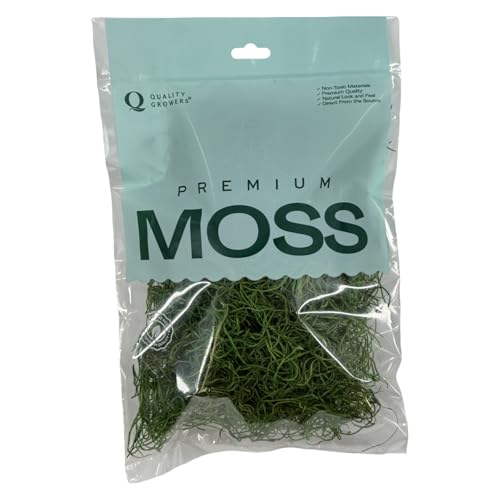 Preserved Spanish Moss - Decorative Moss - Dried for Crafts, Home Decor, Art, Design & DIY Projects - for Indoor Use - Green Apple - Medium Size - color: Green Apple, size: Medium