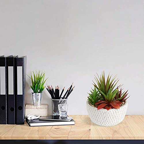 Briful Small Fake Plants Assorted Faux Succulents in Pots Realistic Succulents Plants Artificial with Cement Pots for Home Table Office Desk Bathroom Shelf Living Room Decor - color: Succulent #02