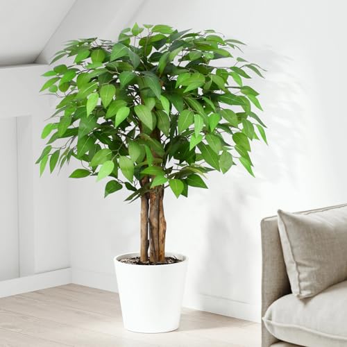 3ft Ficus Artificial Trees with Natural Curved Trunks, 36" Tall Lush Faux Tree for Home Decor Indoor, Green Lifelike Fake Ficus Tree Artificial Plants - size: 3ft