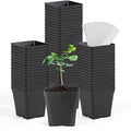 June Fox Square Nursery Pots 3.3 Inches Flexible Plastic Seedling Pots Square Pots for Plants, Succulent, Flower, Pack of 60, with 60 PCS Plant Labels - color: 60 Pcs