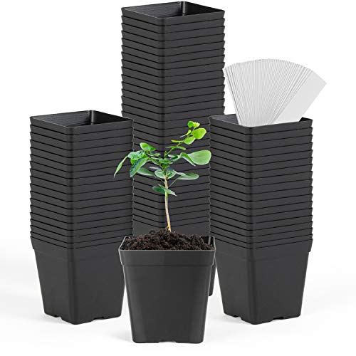 June Fox Square Nursery Pots 3.3 Inches Flexible Plastic Seedling Pots Square Pots for Plants, Succulent, Flower, Pack of 60, with 60 PCS Plant Labels - color: 60 Pcs