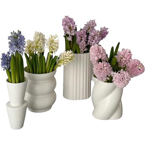 15 Stems Hyacinth Randomly Mix Colors Fresh Cut Flowers Arrangement Gifts For Home Decoration Birthdays Anniversaries Healing Sympathy Friendship and Love