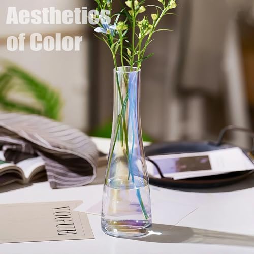 8.3'' Single Flower Vase, Small Glass Bud Vase Clear Single Stem Rose Vase, Colorful Tall Skinny Vases for Flowers Centerpieces Wedding Party Home and Office Décor