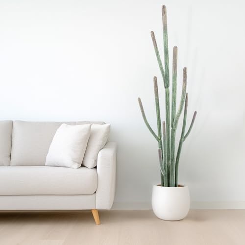 Nafresh Tall UV Resistant Faux Cactus Plant，60in Realistic Texture Tall Fake Plant, Artificial Cactus Large with Black Pot Indoor Outdoor for Home Office Living Room Bedroom Foyer Porch Decor. - size: 60in with basic plastic black planter