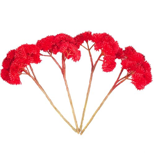 4PCS Artificial Succulent Flower, Plastic Plants Green Artificial Plants for Home Garden, Party, Bedroom Office, Wedding (Red) - color: Red, size: 4PCS