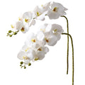 2Pcs White Orchids Artificial Flowers 38" Long Stem Fake Orchid,Real Touch Latex Faux Phalaenopsis with 9 Large Orchids for Home Décor Centerpiece Arrangements