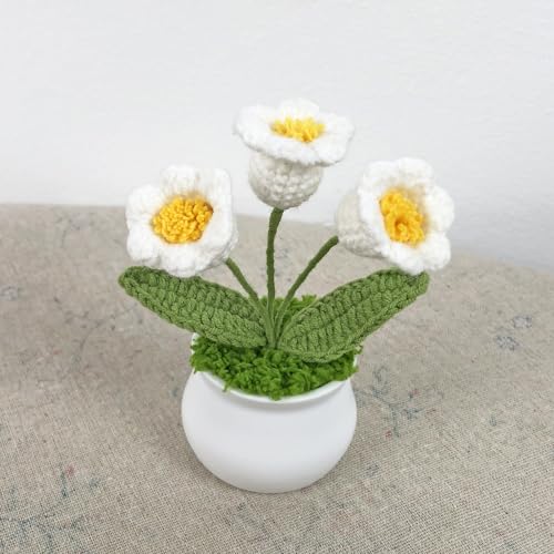 Joekaran Crochet Flowers Cute Little Potted Flower, Gift for Birthday, Teacher’s Day, Graduation, Anniversary, Christmas, Decor for Car Dashboard,Home Office Decoration (White Lily of the Valley) - color: White Lily of the Valley
