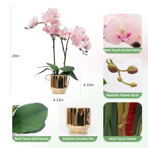CXGS Orchids Artificial Flowers Real Touch Fake Flowers in Ceramic Pot 20" Pink Faux Orchid Plant Lifelike Silk Phalaenopsis for Centerpiece Hotel Home Indoor Decor - color: Pink- Gold Vase