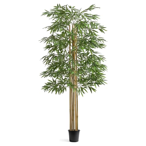 Maia Shop 6ft Artificial Bamboo Tree Plant for House, Apartment or Office – Realistic Fake Indoor Plants for Living Room, Bedroom, Bathroom, Entryway or Patio - color: Bamboo, size: 6ft