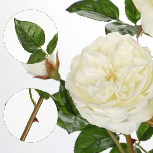 Real Touch Artificial Roses (Set of 3) – 23.6" Long Stem White Garden Roses – Lifelike Faux Silk Flowers for Wedding Bouquets, Home Décor, Centerpieces & Floral Arrangements - color: Creamy White, size: 3 PCS