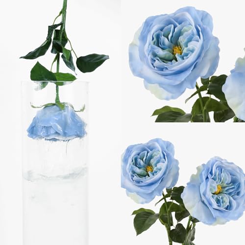 2Pcs Fake Austin Rose Peonies Flowers Real Touch Peach Roses with Stems 25.60'' Latex Peony Artificial Flowers for Home Decor Flower Arrangement Wedding Centerpieces (Blue) - color: Blue