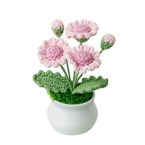Joekaran Crochet Flowers Cute Little Potted Flower, Birthday Gifts for Women, Mother's Day, Teacher’s Day, Graduation, Anniversary, Desk Decor, Home Office Decoration (Rose red Daisy) - color: Rose Red Daisy