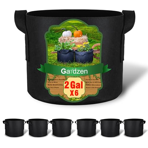 Gardzen 6-Pack 2 Gallon Grow Bags, 300G Thickened Nonwoven Fabric Pots with Handles, Heavy Duty Aeration Plant Bags for Gardening and Container Growing - size: 2 Gallons