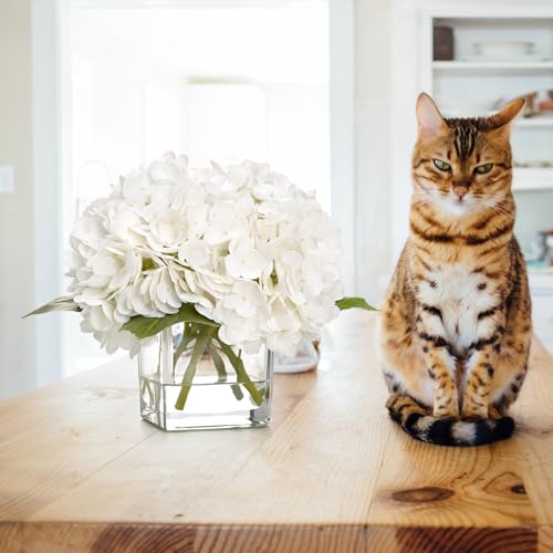 BLEUM CADE Luxury PU Fake Flowers in Vase with Faux Water, White Real Touch Hydrangea Artificial Flowers with Glass Vase for Office Home Dining Room Centerpiece Table Decorations - color: Hydrangea-white