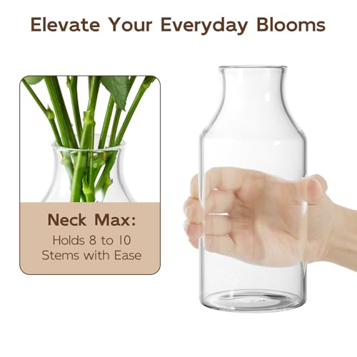 Clear Glass Vase, Small Glass Flower Vase, 7.6 inch Mini Vase for Home, Wedding, Living Room, Dining Table - size: 3.5"W x 7.6"H