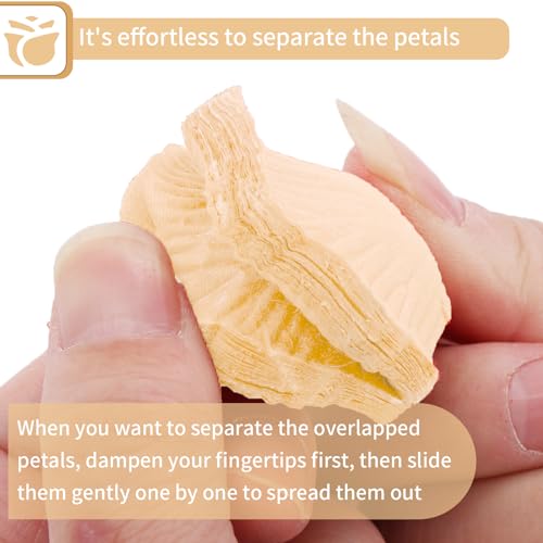 1000 Pcs Artificial Fake Rose Petals,Flower Petals for Romantic Night, Engagement, Party, Wedding, Event Flower Decorations, in Bulk(Champagne Color) - color: Champagne, size: 1000Pcs