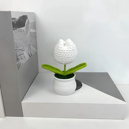 Crochet Tulip Flowers, 2pcs Small Potted Flower Tulip Artificial Flowers Handmade Knitted Tulips Potted Plants for Home Office Desk Decorations Gift (White) - color: White Tulip