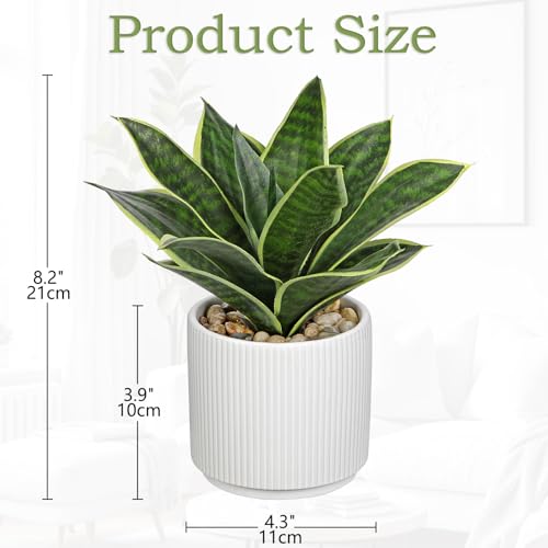Artificial Agave Succulent Plants Faux Snake Plant Fake Succulent Agave Plants Potted in White Pot Succulent Aloe Plant for Desk Modern Office Living Room Table Shelf Home Indoor Outdoor Decor - color: Style 2