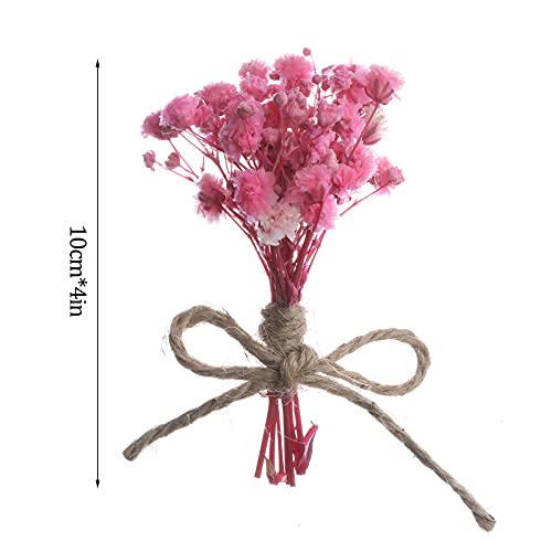 8Pcs Mini Gypsophila Bouquets Natural Gypsophila Dried Flowers Bouquet Dry Flower&Leaves Lagurus Dried Embossing Flower Bundles Plant Stem Bunch for DIY Craft,Photo Props,Party,Wedding Card Decoration - color: Type1