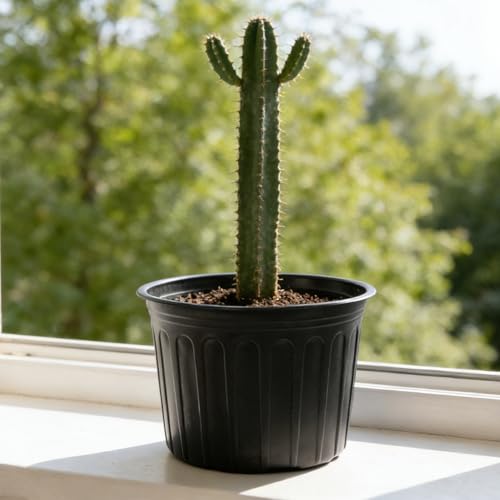 12-Pack 5 Gallon Flexible Plastic Plant Pots,Thickened Soft Seed Starting Container for Indoor Outdoor Plants, Seedlings, Vegetables, Succulents and Cuttings - size: 5 Gallon