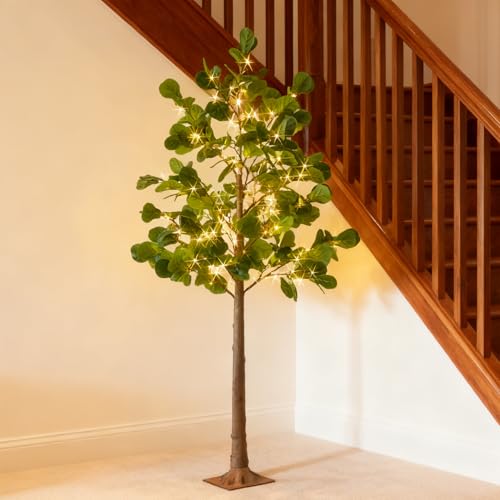 Hairui Lighted Artificial Fiddle Leaf Fig Tree 6FT 222 LED Fairy Lights, Faux Plant Tree with Lights for Home Room Spring Christmas Decoration Indoor - style: 6FT Fiddle Leaf Fig Tree