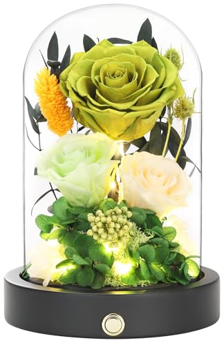Preserved Flowers in Glass Dome with LED Light, Forever Flowers for Delivery, Eternal Roses Gifts for Women Mom Girlfriend Wife . Valentines Day Mothers Day Anniversary Birthday Gifts For Her(Green) - color: New Green