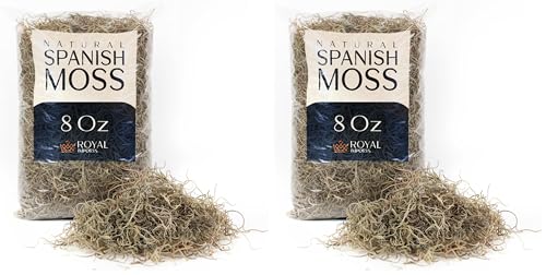 Royal Imports Preserved Natural Spanish Moss, Fresh Dried Shredded Loose Chunks, 8 Oz Bag (Pack of 2) - size: 8 Oz Bag (Pack of 2)