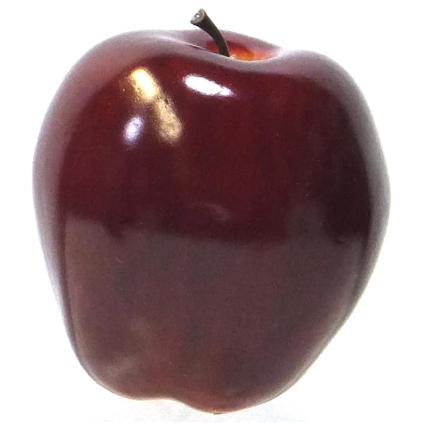 Vasefill 6-Pack Artificial Red Delicious Apple Plastic Apples Fruit Six Pieces Fake - color: Apple (Red Delicious)