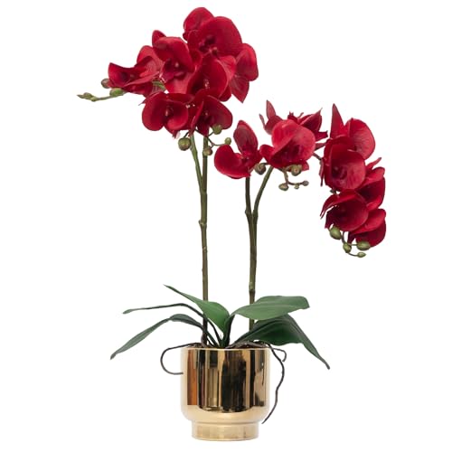 CXGS Orchids Artificial Flowers Real Touch Fake Flowers in Ceramic Pot 20" Red Faux Orchid Plant Lifelike Silk Phalaenopsis for Centerpiece Hotel Home Indoor Decor - color: Red- Gold Vase