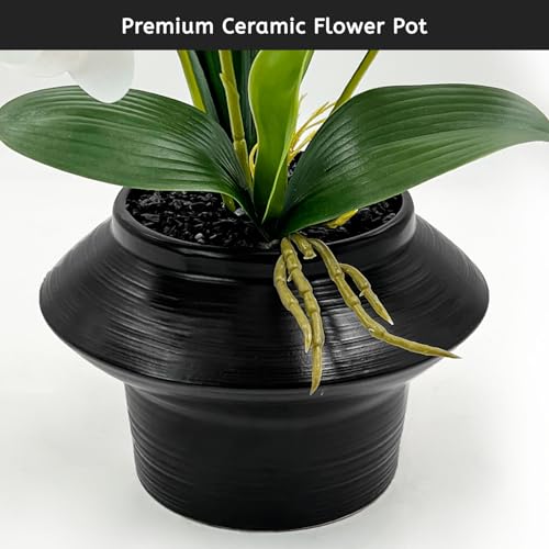 Daily Treasures 24 Heads Artificial Orchid Plant with Black Ceramic Pot, 3D Printed Silk White Faux Orchid Flowers with Buds, Lifelike Butterfly Orchid with Leaves for Modern Home Office Decor