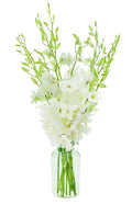 KaBloom - 10 White Orchid Without Vase - Fresh Flowers for Birthday, Valentine's & Mother's Day - color: White Orchid, style: With Vase