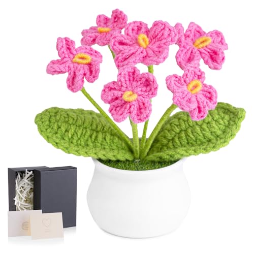 LAIDANLA Pink Crochet Flowers Forget Me Not, Mini Handmade Flower Potted Plants for Desk Accessories, Graduation Appreciation Anniversary Birthday Gifts for Women Mom Teacher Coworker Friend - color: Dark Pink