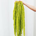 5Pcs Dried Amaranthus Hanging Flowers, 23" Neon Lime Green Preserved Wisteria for Wedding Arch, Fall Thanksgiving, Table Centerpiece, Wall Hanging Lover Tears, Floral Arrangement, Farmhouse Décor