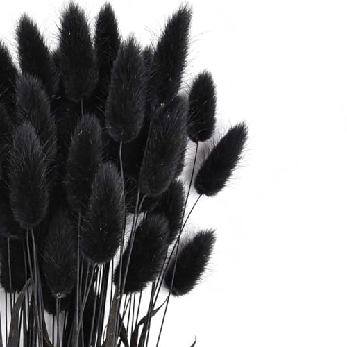 Bunny Tails Dried Flowers 100pcs Dried Pampass Grass Decor Bunny Tail Floral Stems 17 Inch Dried Flowers for Boho Decor Home Wedding Decoration Plants (Black Color) - color: Black Color