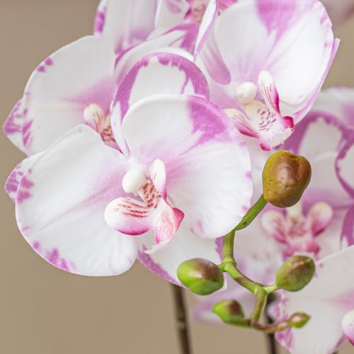 DUYONE 35 Inch Artificial Butterfly Orchid Flowers 4 Pcs with 4 Bundles Leaves Artificial Orchid Flowers Stem Plants for Home Décor (Light Purple 4pcs) - color: Light Purple 4pcs Flowers With 4 Leaves