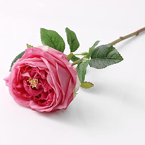 UKELER Real Touch Austin Roses 4 Pcs Artificial Flowers Rose Red Fake Silk Flowers for Home Decor Flower Arrangement Wedding Party Decoration - color: Rose Red