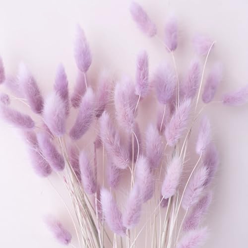 120pcs Light-Purple Bunny Tail Pampas Grass Dried Flowers for Vase Boho Flowers Dried Babys Breath Wedding Decor Dry Flowers for Vase (Purple 120 PCS)