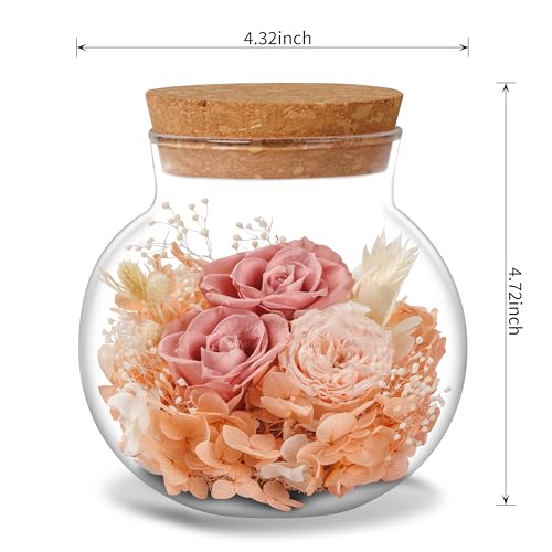 NATROSES Christmas Birthday Gifts for Women - Handmade Preserved Flowers Wish Bottle for Valentine's Day, Mother's Day, Anniversary, Home Decor (Dusty Pink) - color: Dusty Pink