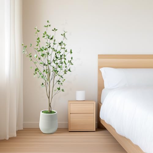 Bellacat 5ft Artificial Minimalist Citrus Tree with Lifelike Leaves, 60in Faux Citrus Tree with Realistic Trunks, Faux Tree Indoor Outdoor for Home Office Living Room Bedroom Porch Decor. - color: Black, size: 5ft