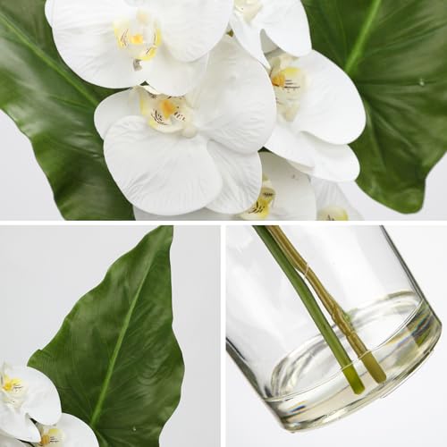 GnFlus Fake Plant and Faux Orchids in Glass Vase, 15.4" Realistic Faux Tropical Plants Artificial Orchids with Fake Water for Home Farmhouse Office Centerpiece Bathroom Kitchen Counter Décor - color: Alocasia + Orchids