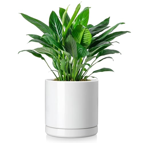 vancasso Ceramic Plant Pots, 8.25 Inch Ceramic Pot for Plants, Planters Pots for Indoor Plants with Drainage Holes, Flower Pot for Indoor House Plant, White - color: White, size: 8.25 Inch