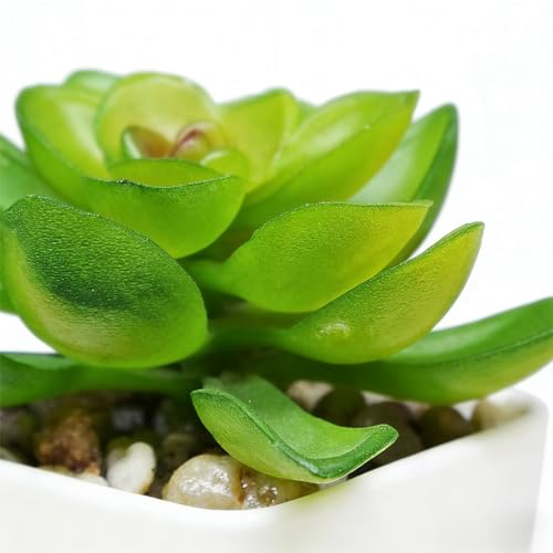 Artificial Succulent Plants in Pot - 1Pcs Stone Lotus Realistic Fake Potted Succulents for Home Decor, Desk, Office, Bathroom, Windowsill - Indoor Houseplant for Bedroom, Kitchen, Shelf - color: Stone Lotus