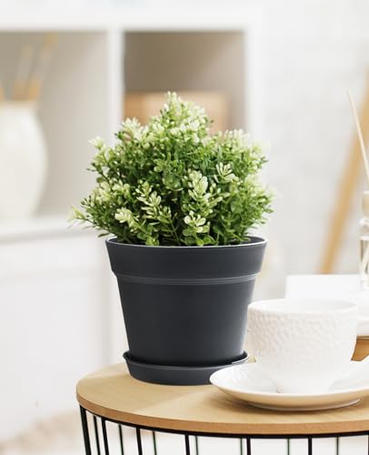 homenote Pots for Plants, 15 Pack 6 Inch Plastic Planters with Multiple Drainage Holes and Tray,Plant Pots for All Home Garden Flowers Succulents (Black) - color: Black-15 Pcs, size: 6 Inch