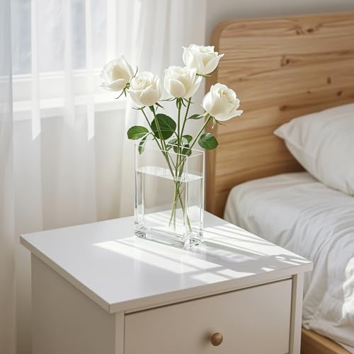BuyCard Clear Book Vase for Flowers, Transparent Flower Vase for Home Decor, Simplicity Bookshelf Decor, Unique Stuff for Book Lovers, Gift to Motivate(Clear) - color: Clear-no Words