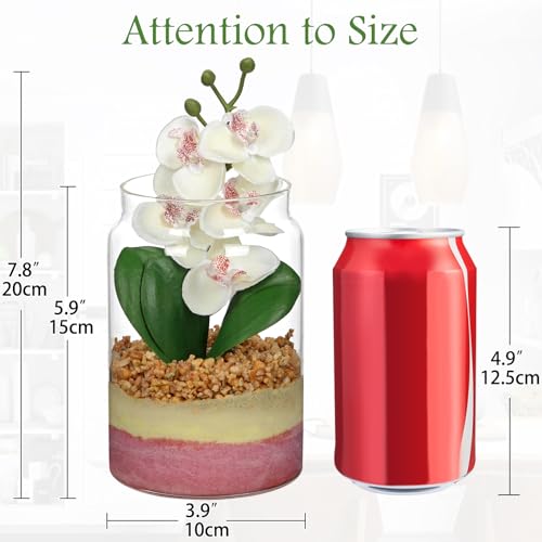 White Orchids Artificial Flowers with Vase, Small Faux Orchid Arrangement Fake Orchids Plant in Terrarium Jar Small White Orchid Centerpieces for Kitchen Dining Room Tables Bathroom Nightstand Decor - color: White +Beige &Pink Sand