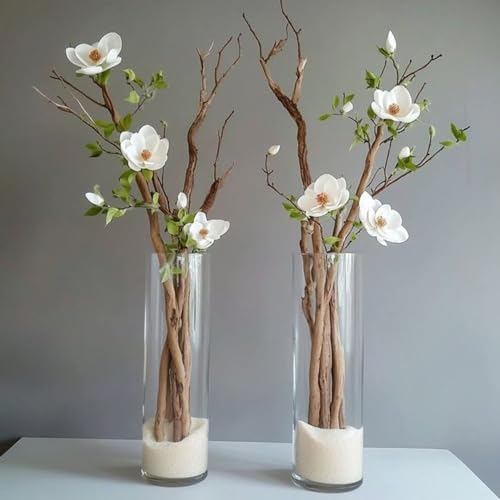 12 Pack Glass Cylinder Vases 14 Inch Tall Clear Flower Bulk Vase for Centerpieces Hurricane Floating Candle Holder for Table Home Decor Wedding Holiday Floral Shelf Party Dining Decoration - size: 14 Inch
