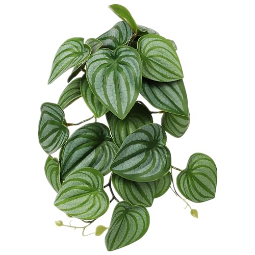 Reptile Plants for Terrarium, Amphibian Habitat Decor Artificial Hanging Plants with Suction Cup - Fake Calathea Orbifolia - color: Fake Calathea Orbifolia