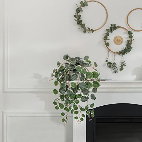 Briful Fake Plants Indoor 16'' Artificial String of Hearts Plants with Ceramic Pot Faux Draping Vine Plants for Home Bathroom Table Shelf Office Hotel Decor - color: Green